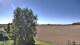 Stetsonville, Wisconsin Fr. 2.10.