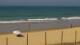 El Palmar de Vejer Fr. 2.10.