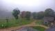 Nellysford, Virginia Sa. 3.10.