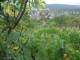 Feuerbach Do. 8.10.