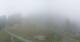 Brand Fr. 9.10.