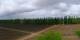 Agrelo Fr. 9.10.