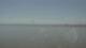 Arabi, Louisiana So. 11.10.