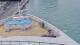 Norwegian Dawn So. 11.10.