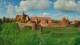 Malbork So. 11.10.