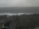 Hook Head Mo. 12.10.