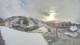 Ruka Mo. 12.10.