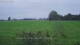 't Zandt Di. 13.10.