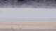 Henne Strand Do. 15.10.