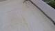 DeKalb, Illinois Fr. 16.10.