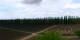 Agrelo So. 18.10.