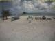 Kuredu Island (Lhaviyani-Atoll) Mo. 19.10.