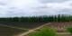 Agrelo Mo. 19.10.