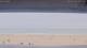 Henne Strand Di. 20.10.