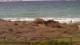 El Palmar de Vejer Di. 20.10.