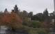 Son en Breugel Mi. 21.10.