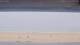 Henne Strand Mi. 21.10.