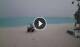 Dhonakulhi Island (Haa Alifu Atoll) Mi. 21.10.