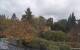 Son en Breugel So. 25.10.