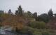 Son en Breugel Mo. 26.10.