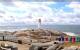 Peggys Cove Do. 6.11.