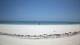 Diani Beach Di. 18.11.