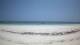 Diani Beach Di. 2.12.
