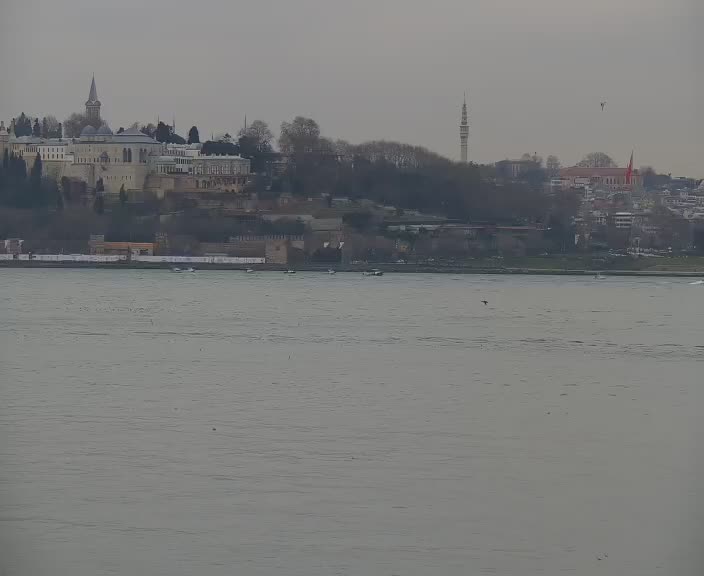 Мост мучеников в Стамбуле. Веб камера Турция мост через пролив Босфор. Веб камера Стамбул. Пролив Босфор в Стамбуле, вид на мост и корабли.