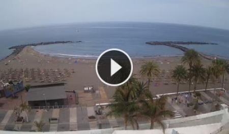 Engañoso para justificar Encogimiento Playa de las Americas (Tenerife) - Webcam Galore