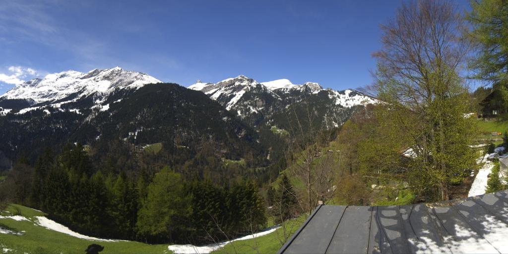 Webcam Wengen: roundshot 360° Panorama Hotel Bellevue