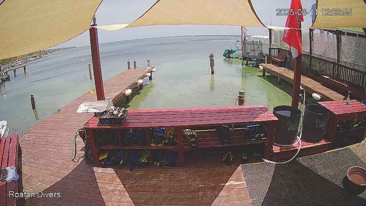West End (Roatán) Webcam Galore