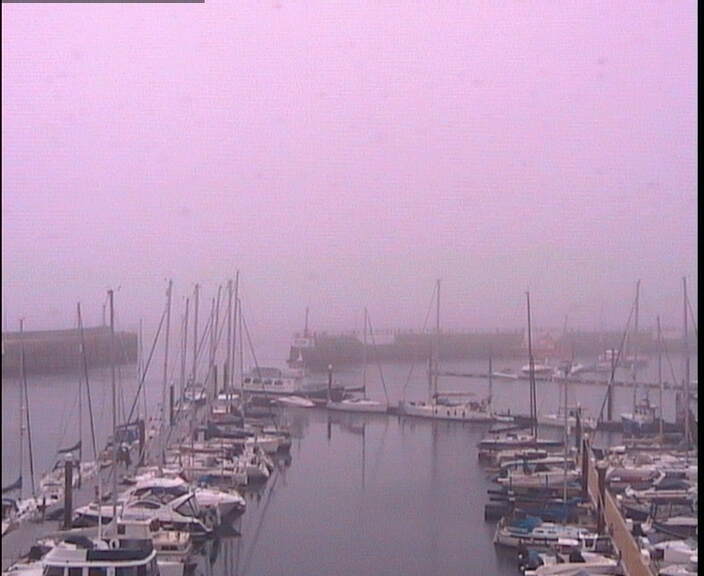 cam Torquay Torquay Harbour