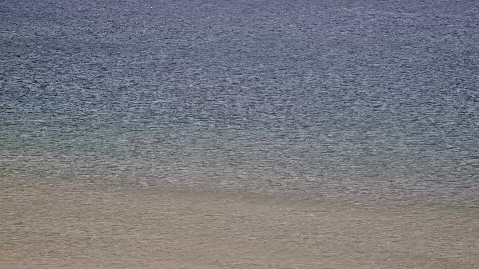 Webcam Lacanau Oc an Plage Centrale