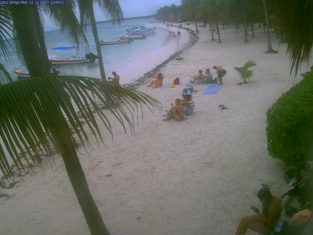 Webcam Akumal Akumal Beach Webcam