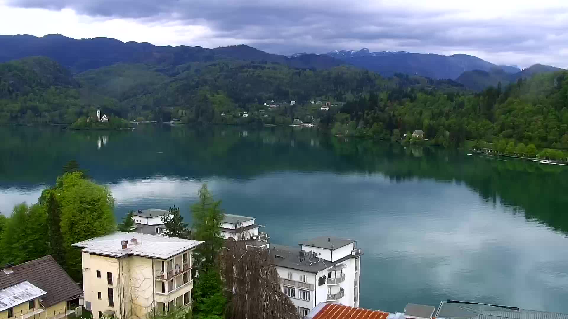 Bled Fri. 10:51