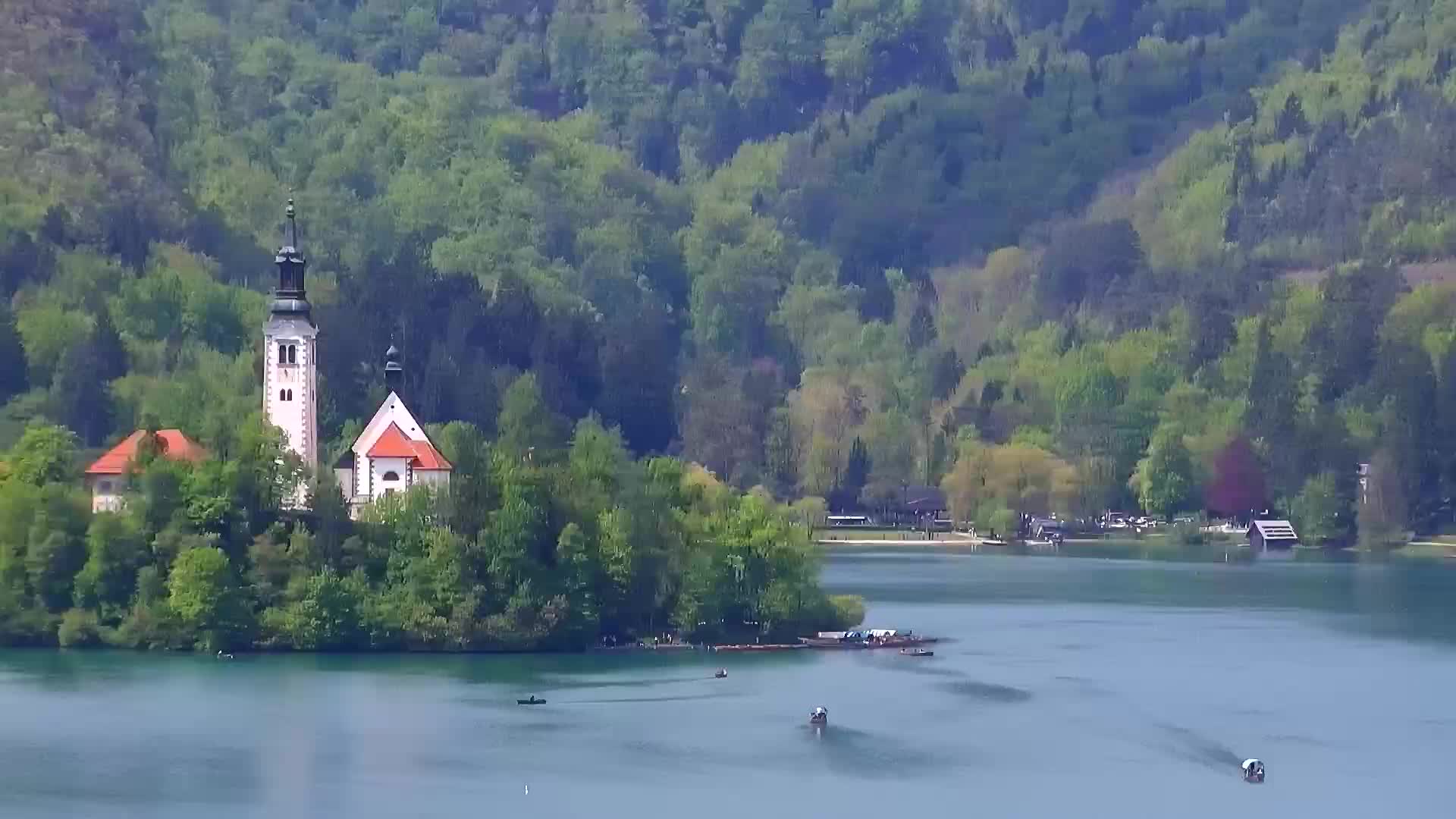 Bled Fri. 11:51