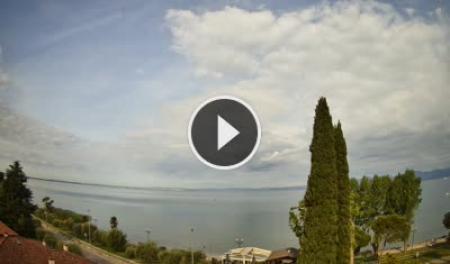 Cisano (Lago de Garda) Dom. 08:21