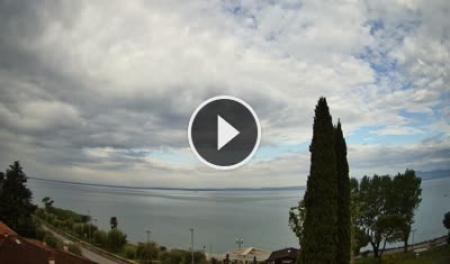Cisano (Lago di Garda) Dom. 08:21