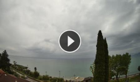 Cisano (Lake Garda) Thu. 11:22