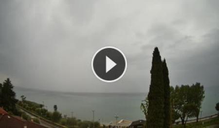 Cisano (Lake Garda) Thu. 12:22