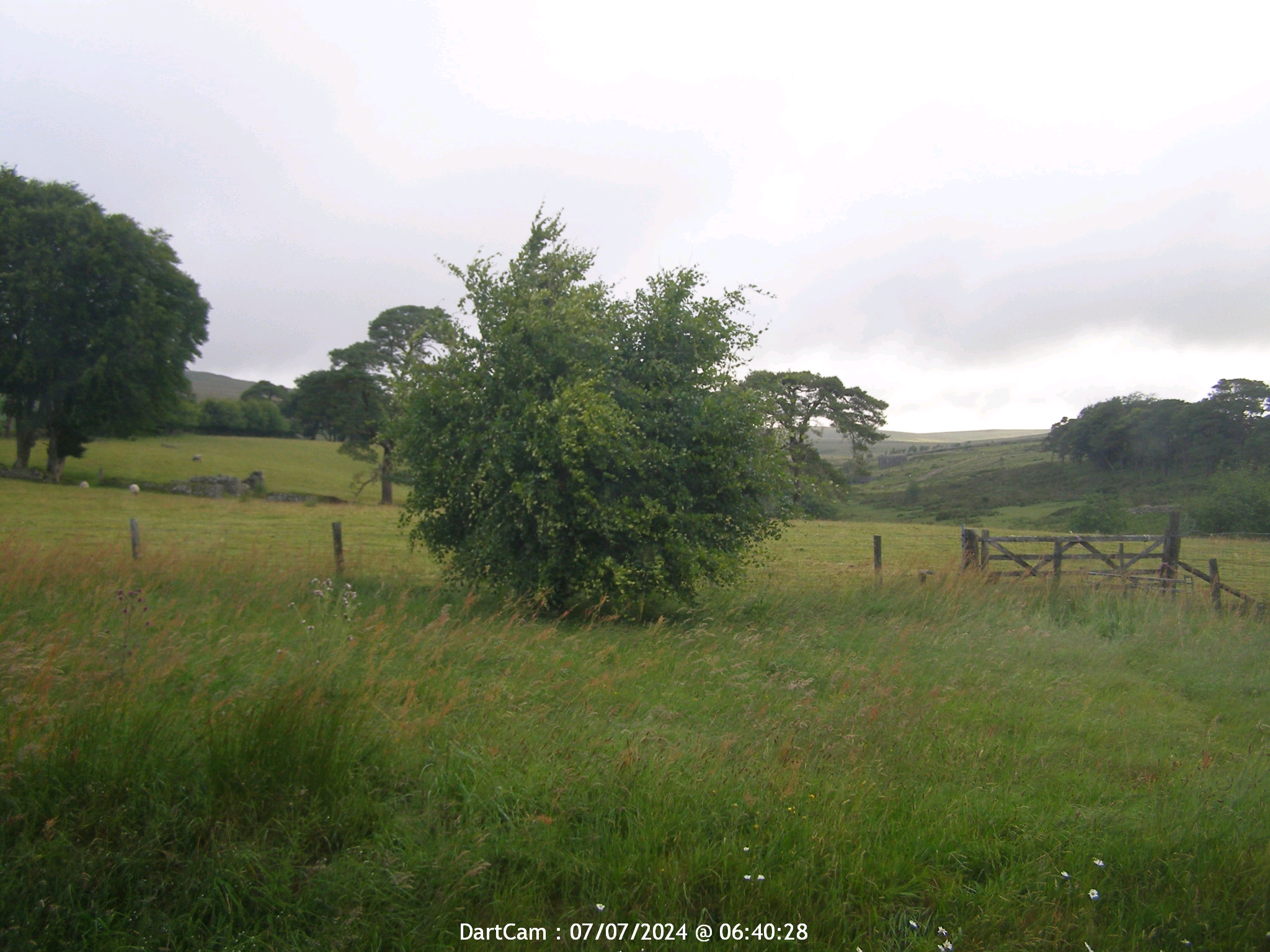 Dartmoor Ven. 06:49