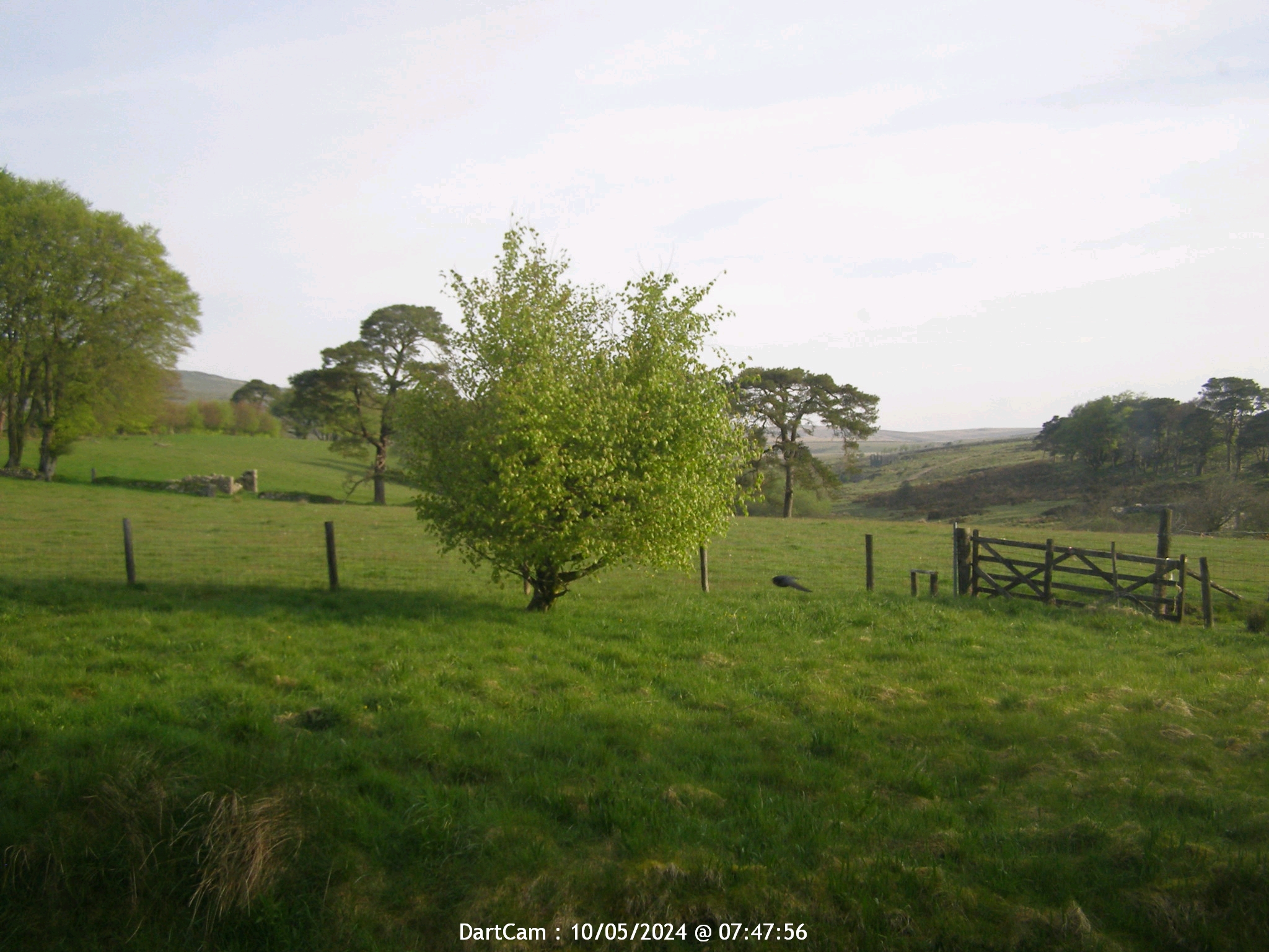 Dartmoor Ven. 07:49