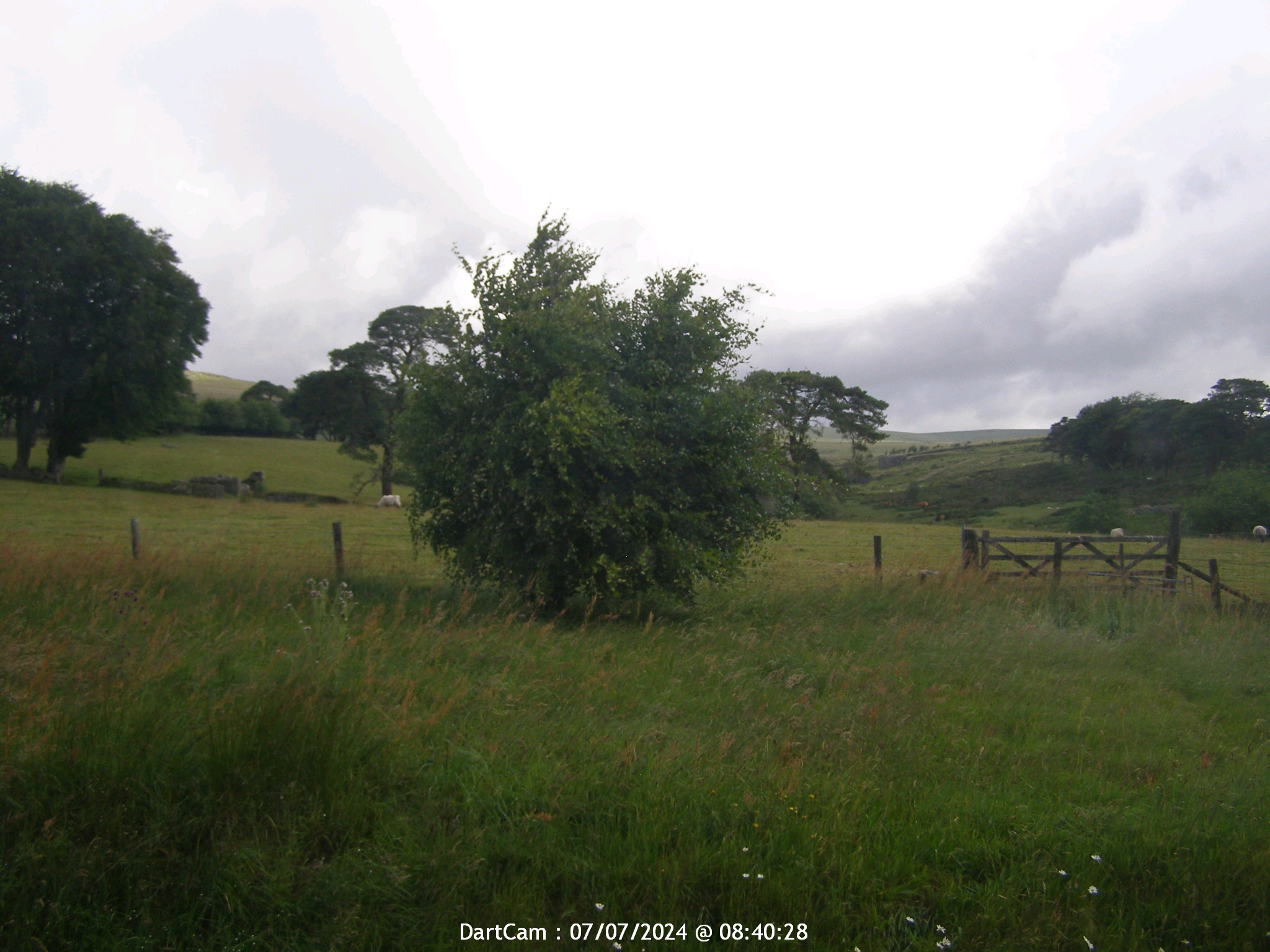 Dartmoor Fri. 08:49