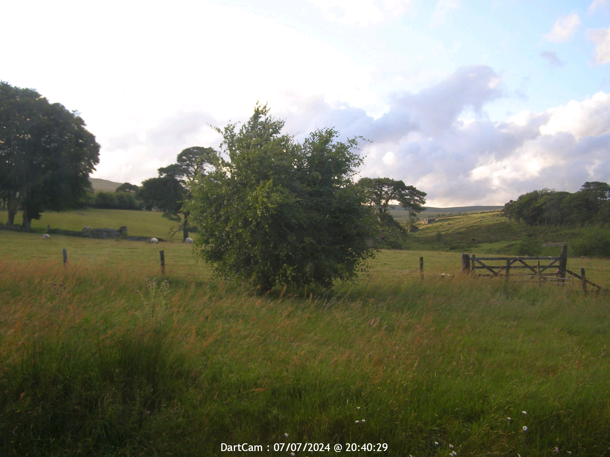 Dartmoor Lør. 20:49