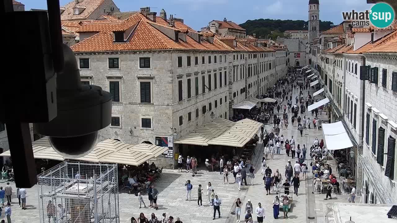 Dubrovnik Fri. 12:31
