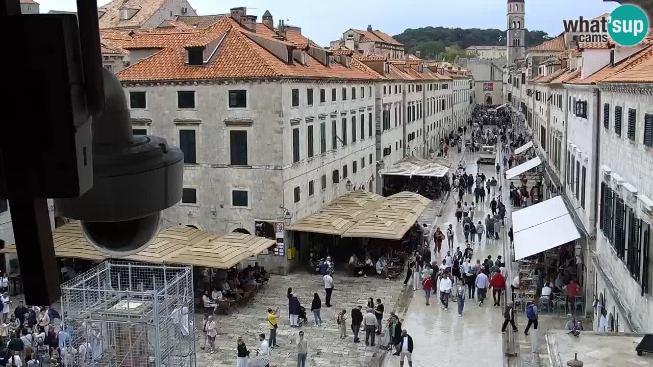 Dubrovnik Fri. 13:31