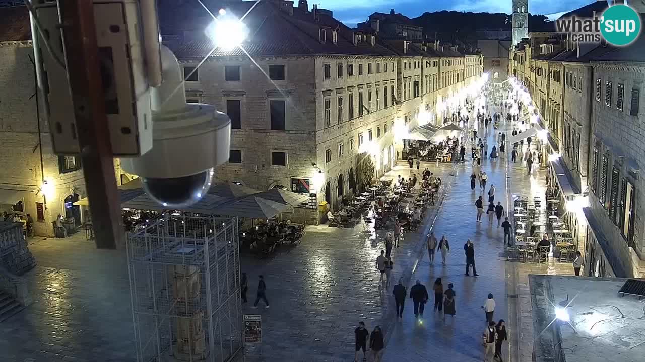 Dubrovnik Fri. 20:31