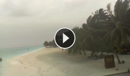Isla Meeru (Atolón norte de Malé) Dom. 11:24