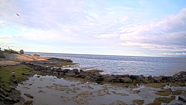 Outer Island, Connecticut Wed. 06:24