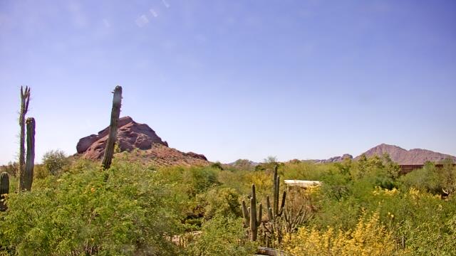 Phoenix, Arizona Do. 14:53